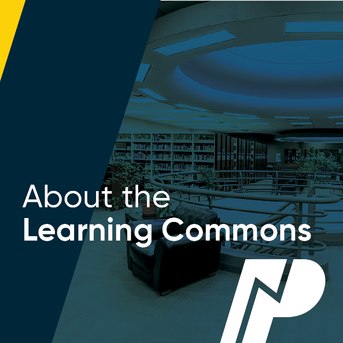 About the Learning Commons
