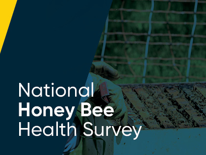National Honey Bee Health Survey