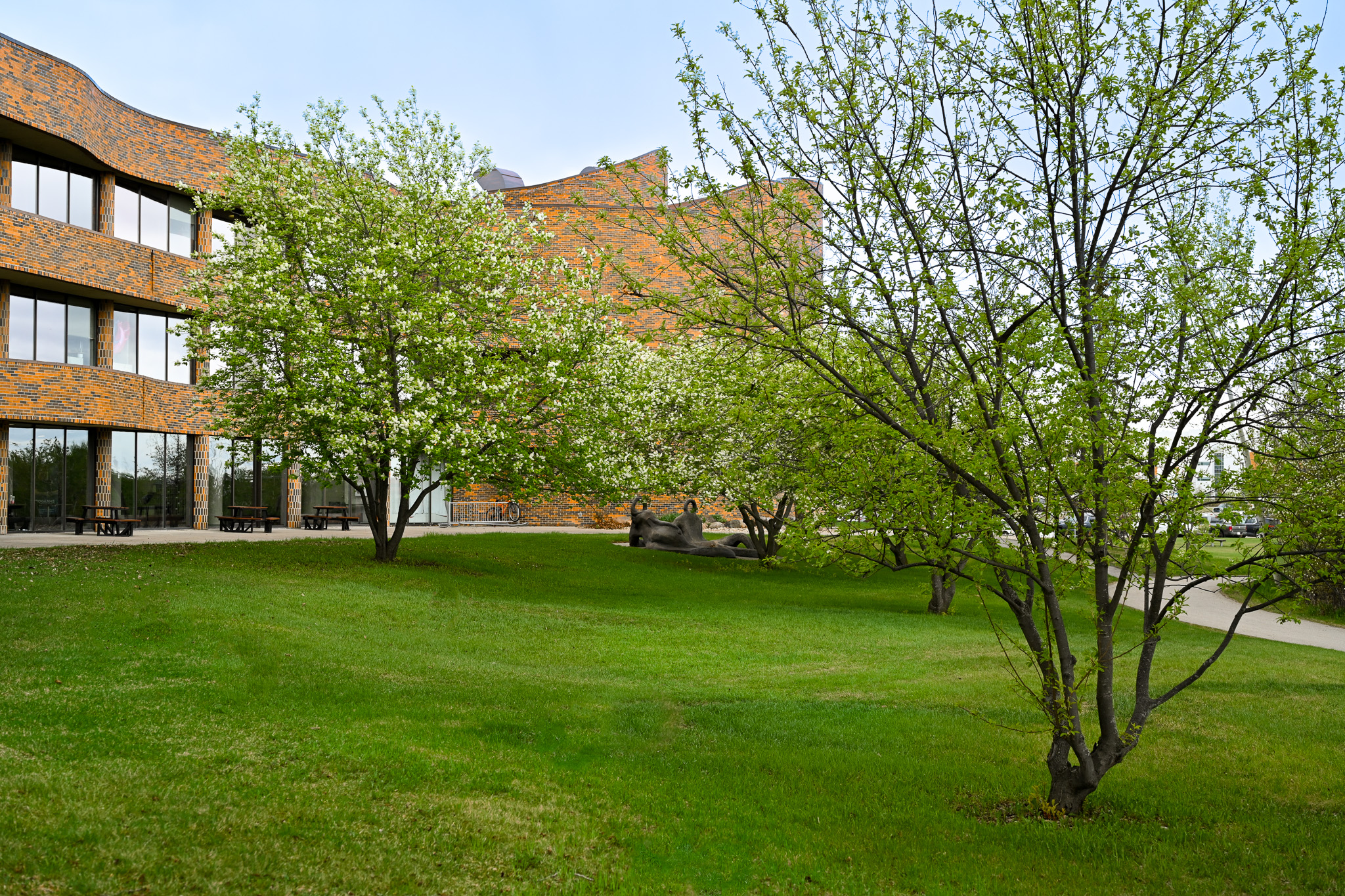 A scenic view of the Grande Prairie campus with the signature Cardianl curves on the building and green spaces under a clear blue sky.
