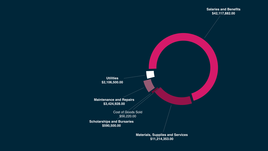 Expenses graphic