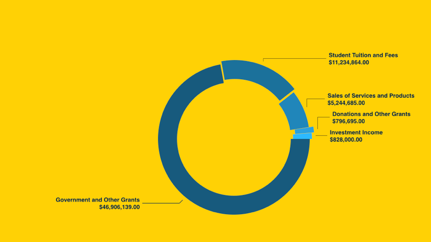 Revenue graphic