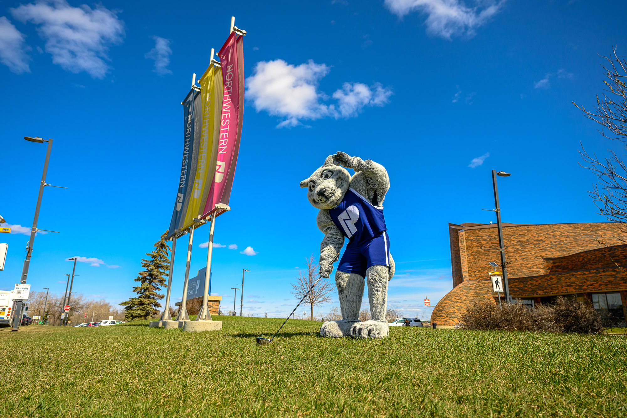 Wolves Athletics mascot Farley with a hand up to his brow as he admires a drive off the lawn outside the executive suite at Grande Prairie campus