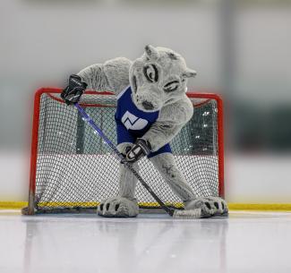 Wolves mascot, Farley on the ice holding a hockey stick with a puck in the foreground.