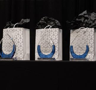 Three gift bags with awards sitting on a table