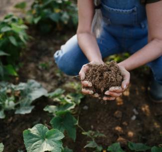 Research Evolving at Northwestern Polytechnic