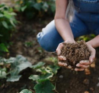 National Bee Diagnostic Centre spreading its wings to explore regenerative agriculture.