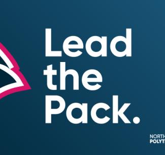 Part of the new look is an updated illustration of the wolf head icon.