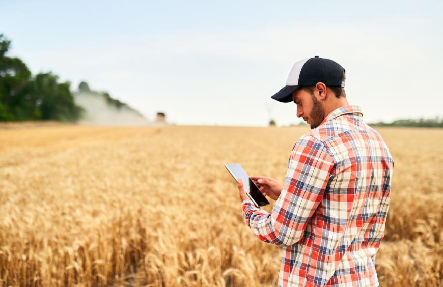 Farmer in a wheat field monitoring harvest on a piece of hand-held technology with a combine in the background
