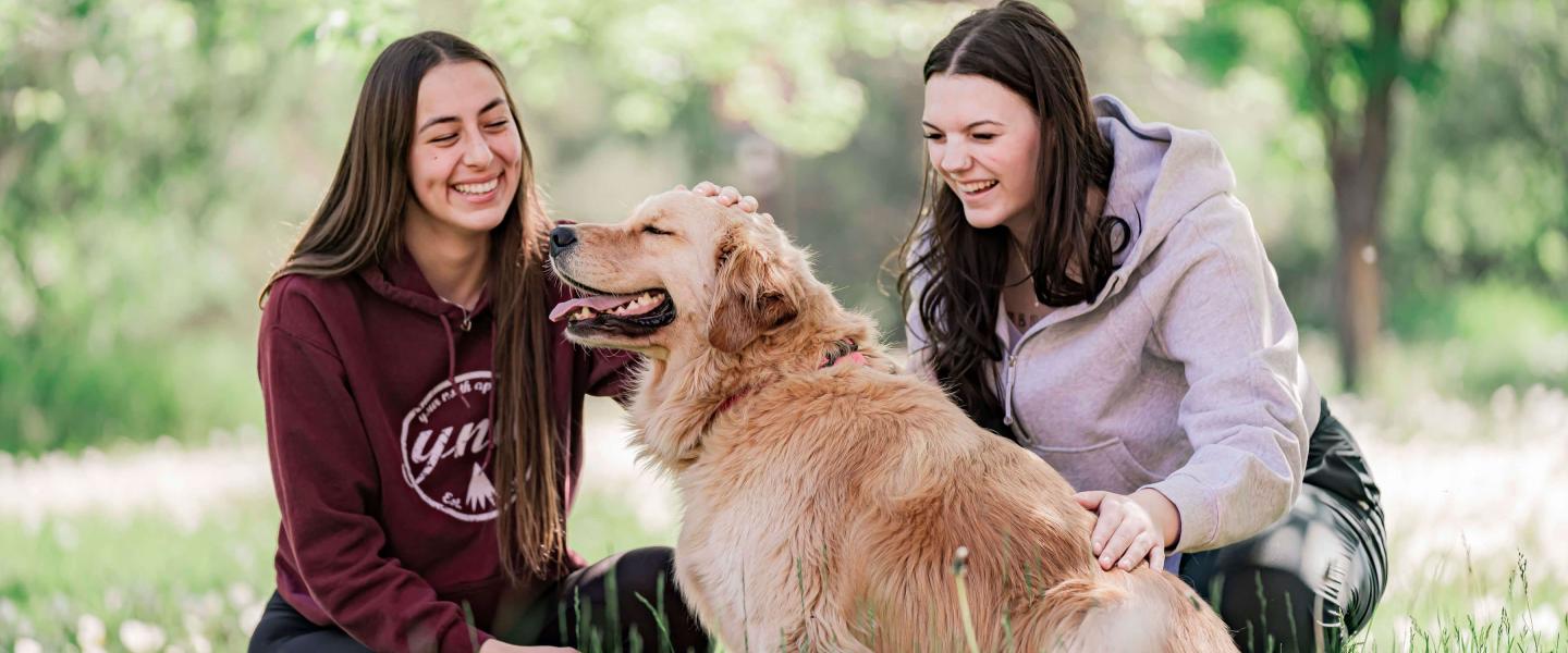 Students petting Mowgli the therapy dog outside on the grass under a tree
