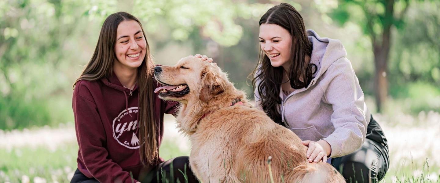Students petting Mowgli the therapy dog outside on the grass under a tree