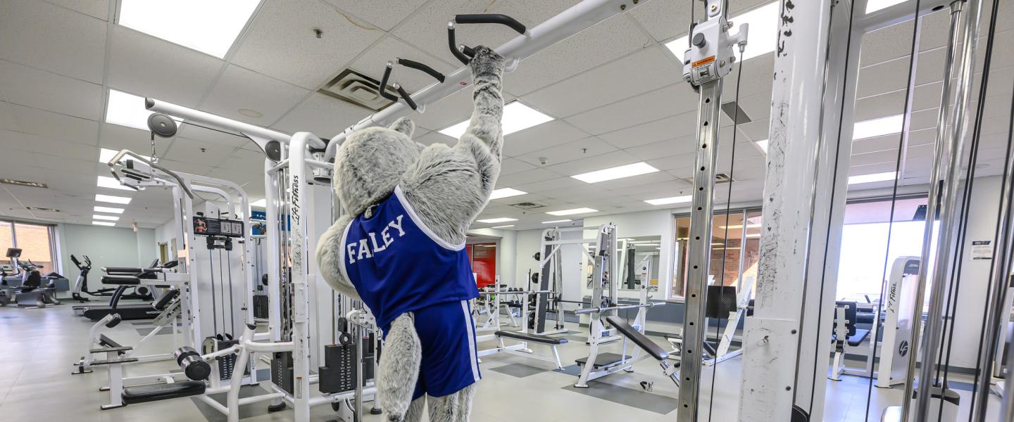 NWP wolves mascot Farley in the weight room on grande prairie campus