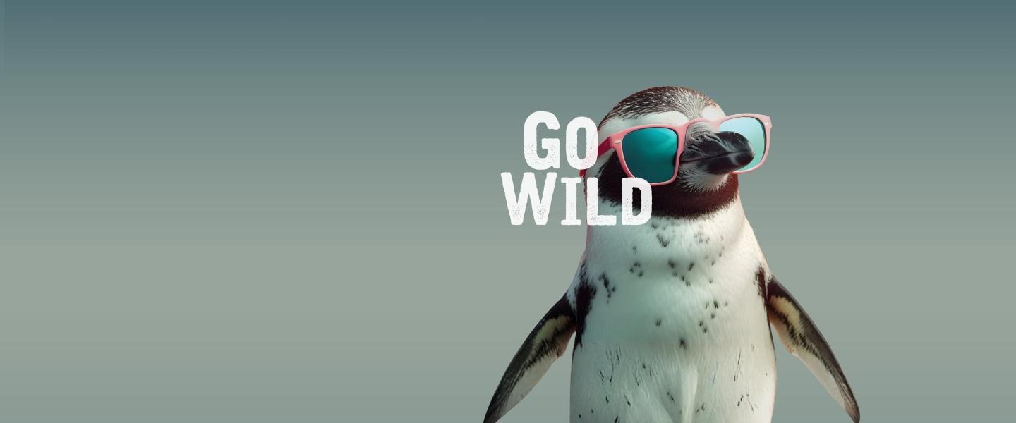 A baby penguin wearing pink sunglasses