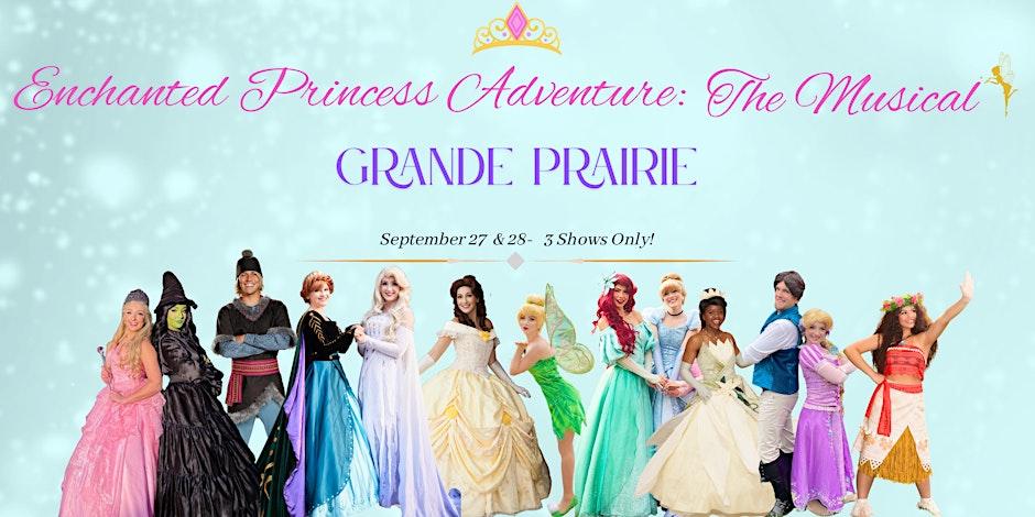eleven princesses and two guys