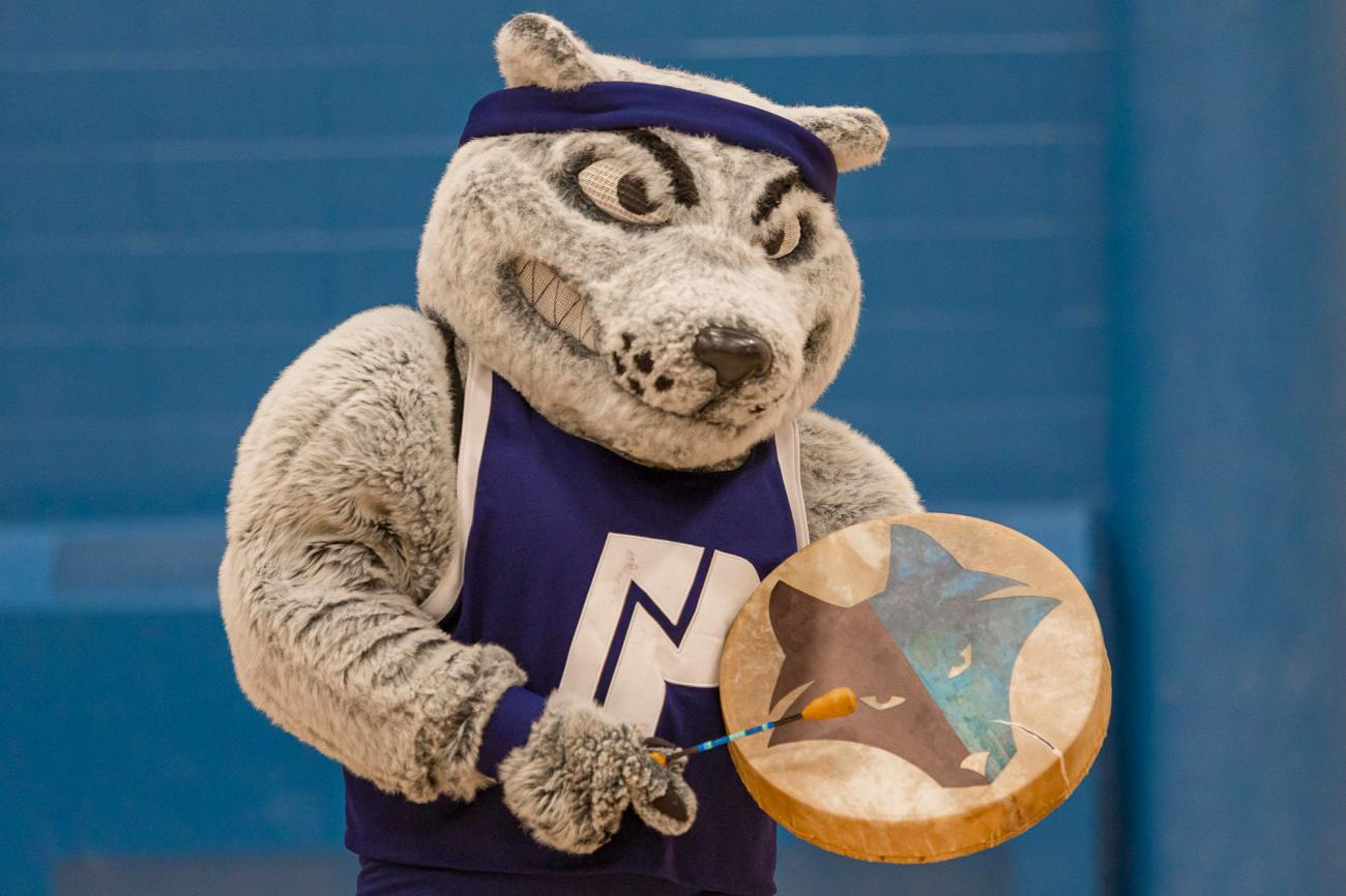 Farley, the Wolves mastcot holding an Indigenous hand drum and beater