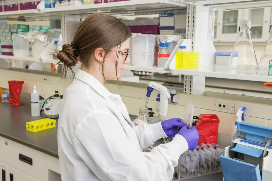 Northwestern Polytechnic Celebrates Sweet Success