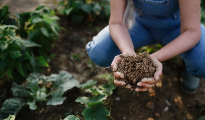 National Bee Diagnostic Centre spreading its wings to explore regenerative agriculture.