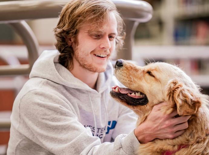 Happy student petting a therapy dog in the library
