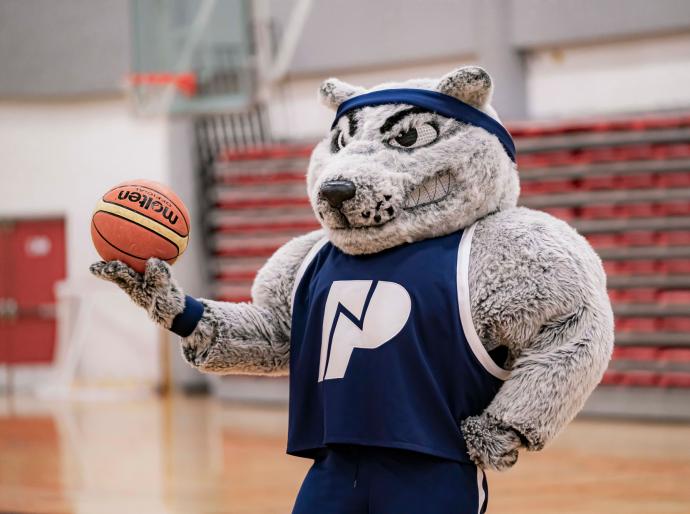 Wolves mascot, Farley standing in the gym holding a basketball.