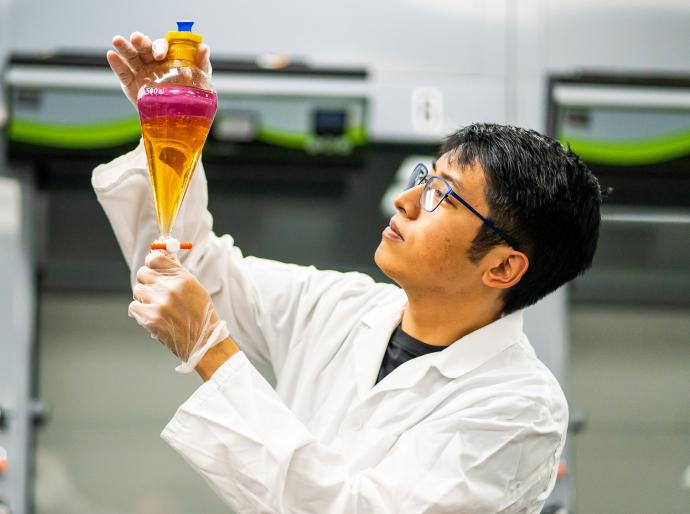 A scientist holding up and observing a separatory funnel containing pink and orange liquid.