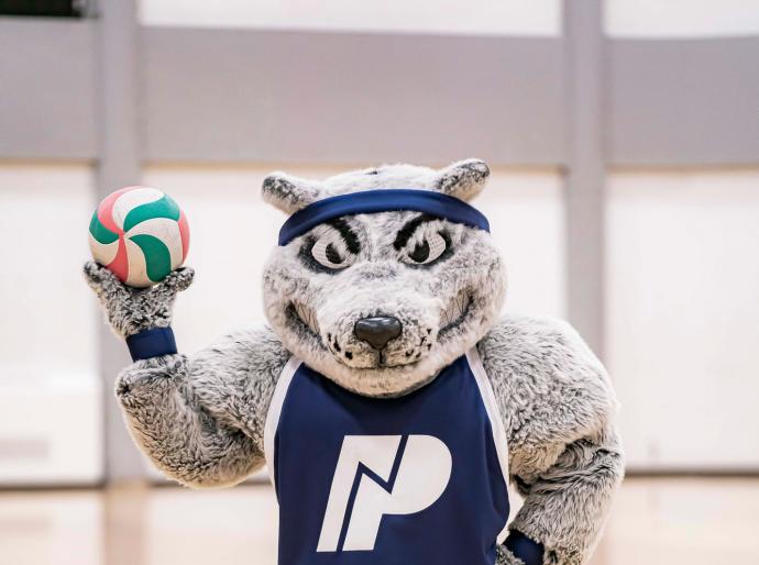 Farley the mascot is posing with a volleyball