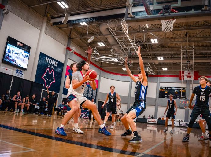 Wolves men's basketball in action