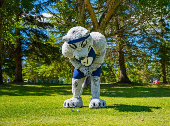 Wolves Athletics mascot Farley lining up to chip a ball onto the green