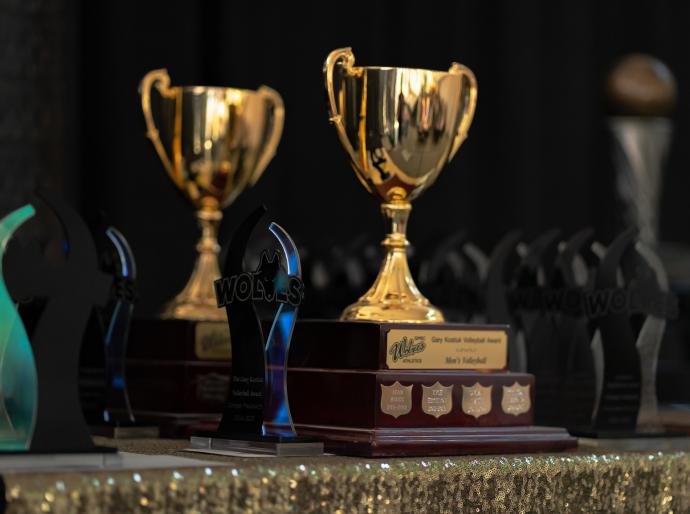 Shiny gold trophies displayed at the Festival of Gold event