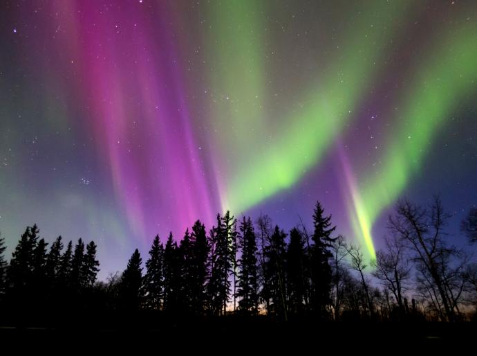 The bright pink, purple, and gree colours of the aurora borealis dance across the night sky in northern Alberta