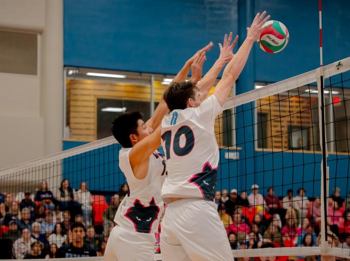 Wolves mens volleyball blocking at the net