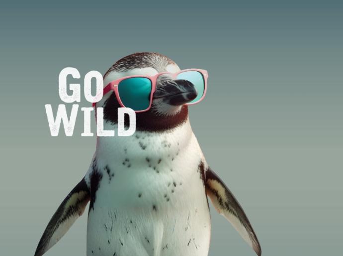 A baby penguin wearing pink sunglasses