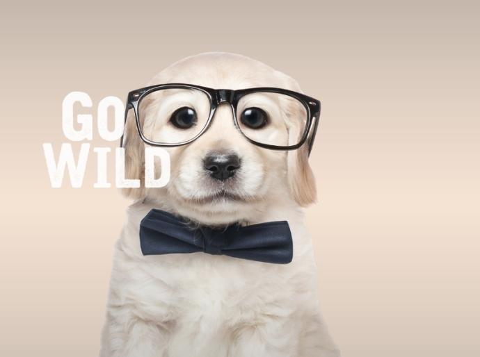 An AI image of a cute white puppy wearing black rimmed eye glasses