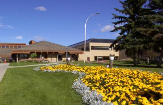 Fairview Flowers