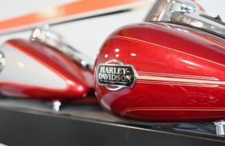 Close up of the Harley Davidson logo on a sleek, shiny red and white motorcycle.