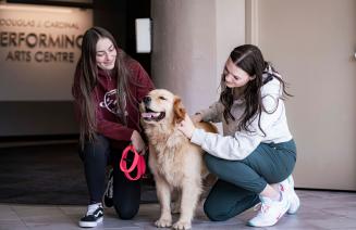 2 students petting a therapy dog on the theatre concourse in the Cardinal building on Grande Prairie Campus