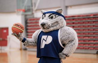 Wolves mascot, Farley standing in the gym holding a basketball.