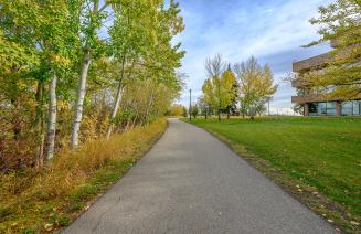 Trail system running beside grande prairie campus in the fall