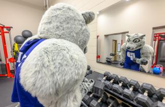 Farley the mascot doing bicep curls in the high performance training centre