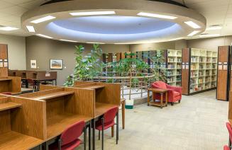 The upstairs of the Learning Commons featuring plants, books and comfortable seating under a large sky light.