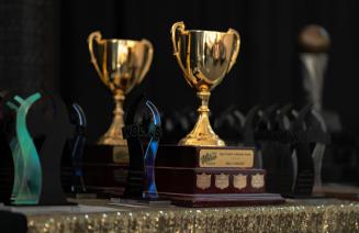Shiny gold trophies displayed at the Festival of Gold event