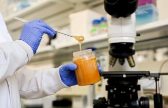 A sample of honey being tested in the bad at the NBDC
