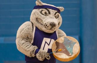 Farley, the Wolves mastcot holding an Indigenous hand drum and beater