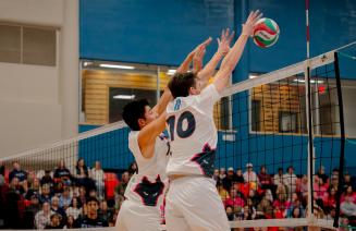 Wolves mens volleyball blocking at the net
