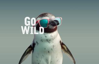 A baby penguin wearing pink sunglasses