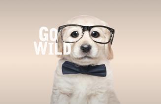 An AI image of a cute white puppy wearing black rimmed eye glasses