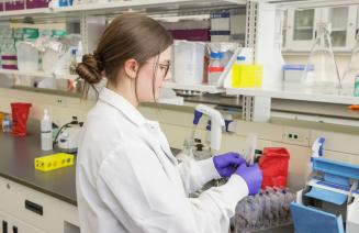 Northwestern Polytechnic Celebrates Sweet Success