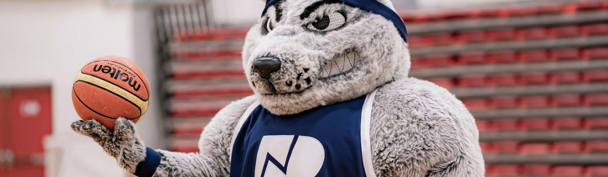 Wolves mascot, Farley standing in the gym holding a basketball.