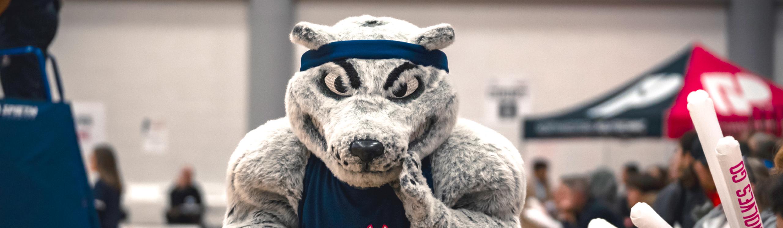 NWP Wolves mascot, Farley in a crowded gym
