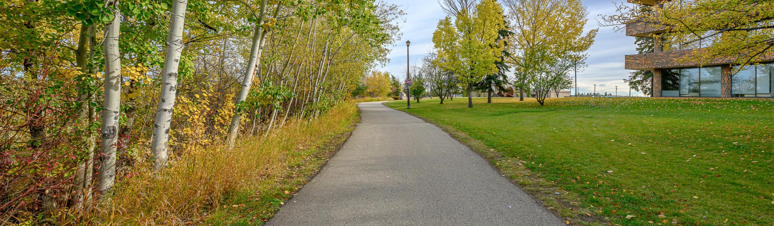 Trail system running beside grande prairie campus in the fall