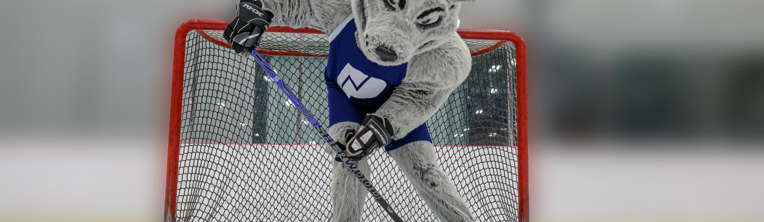 Wolves mascot, Farley on the ice holding a hockey stick with a puck in the foreground.