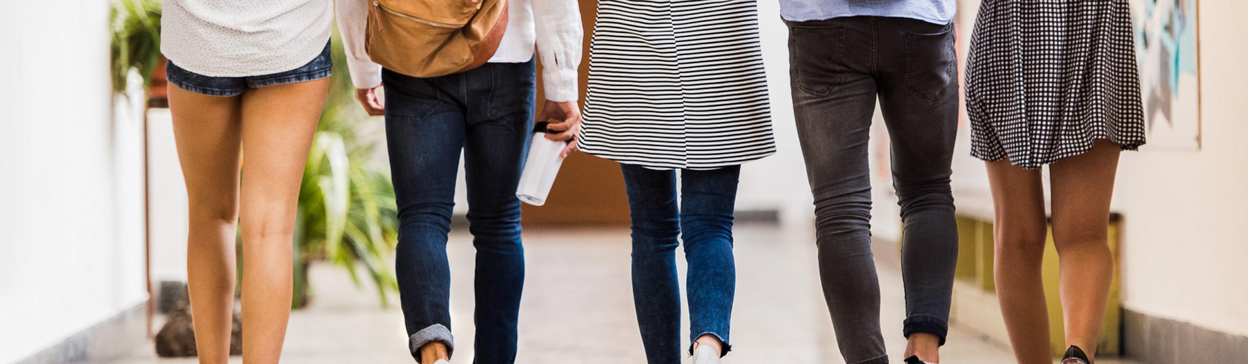 Image of the back of a group of students walking to class.